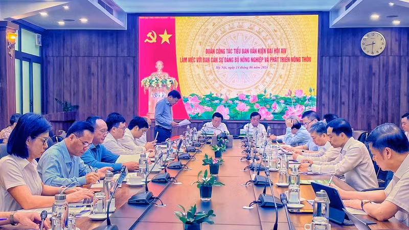 Общий вид встречи. 