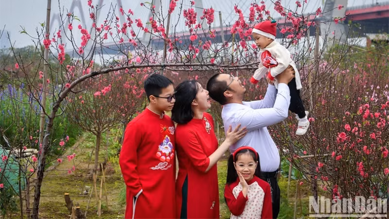 Счастливая семья в окружении ярких весенних цветов персика в Ханое (Вьетнам). Фото: Тхань Дат Счастливая семья в окружении ярких весенних цветов персика в Ханое (Вьетнам). Фото: Тхань Дат