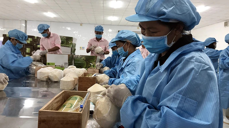 Потенциальным экспортным продуктом в 2024 году считается кокос.