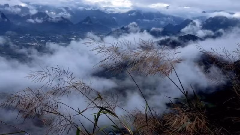 Стоя на вершине Лаотифунг, посетители могут наслаждаться морем бесконечных облаков.