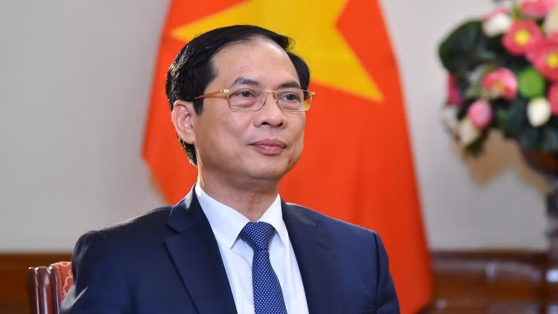 Министр иностранных дел Вьетнама Буй Тхань Шон. Фото: МИД Вьетнама