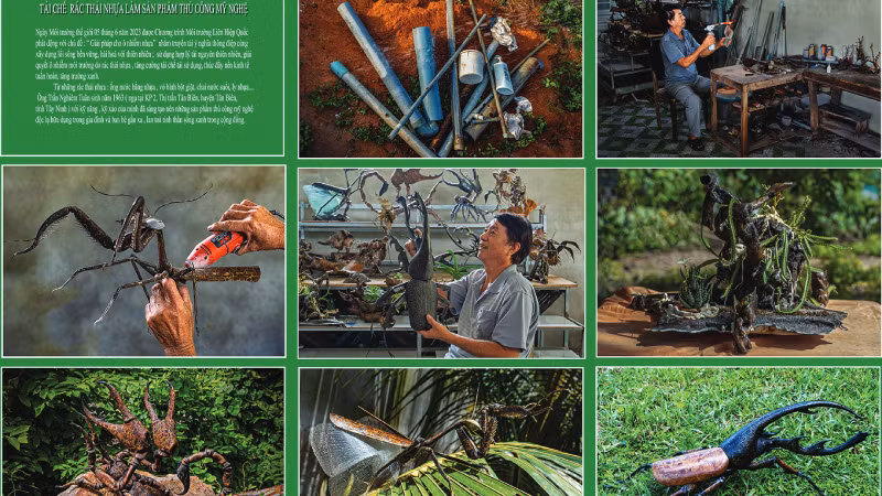 Переработка пластиковых отходов для изготовления кустарно-ремесленных изделий. Автор: До Тхань Нян