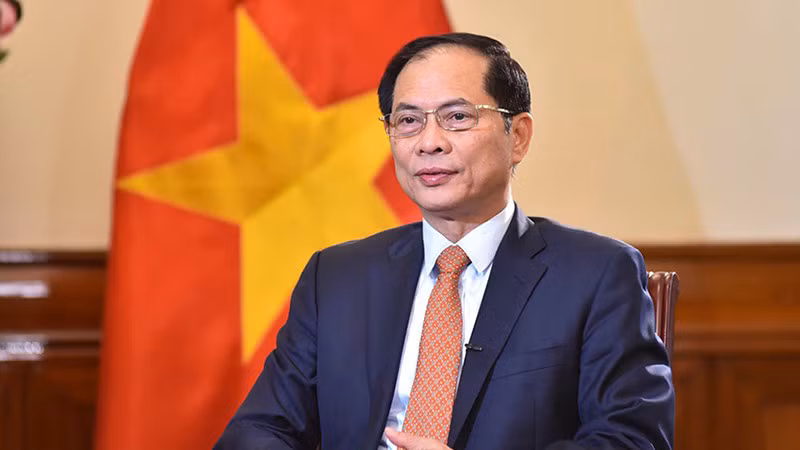Вице-премьер, Министр иностранных дел Вьетнама Буй Тхань Шон. Фото: baoquocte.vn
