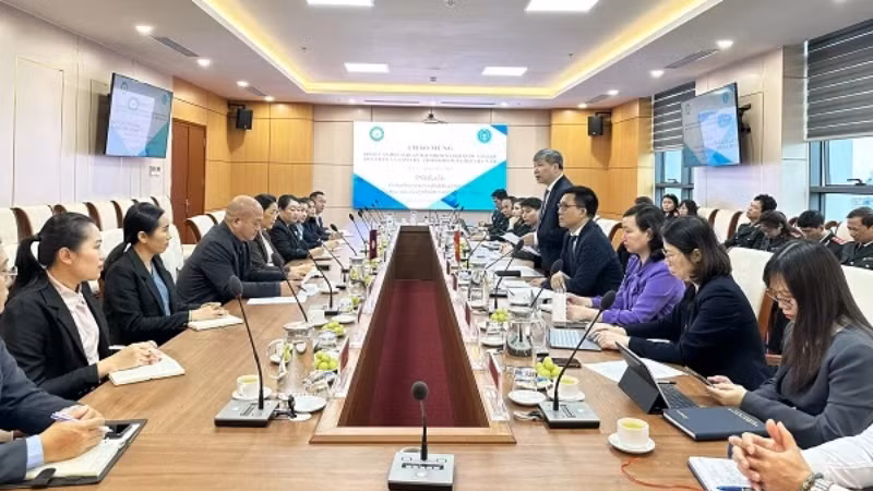 Общий вид встречи.