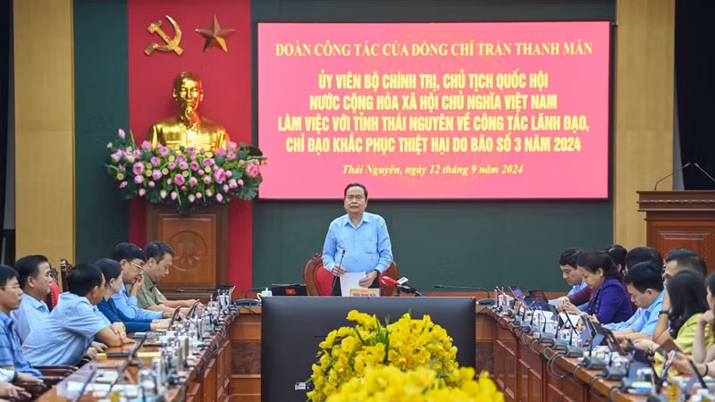 Общий вид рабочей встречи. 