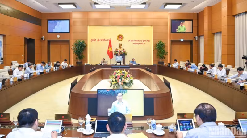 Общий вид заседания. Фото: Зюи Линь