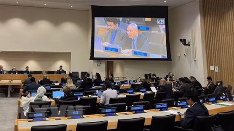 Общий вид сессии. Фото: ВИА