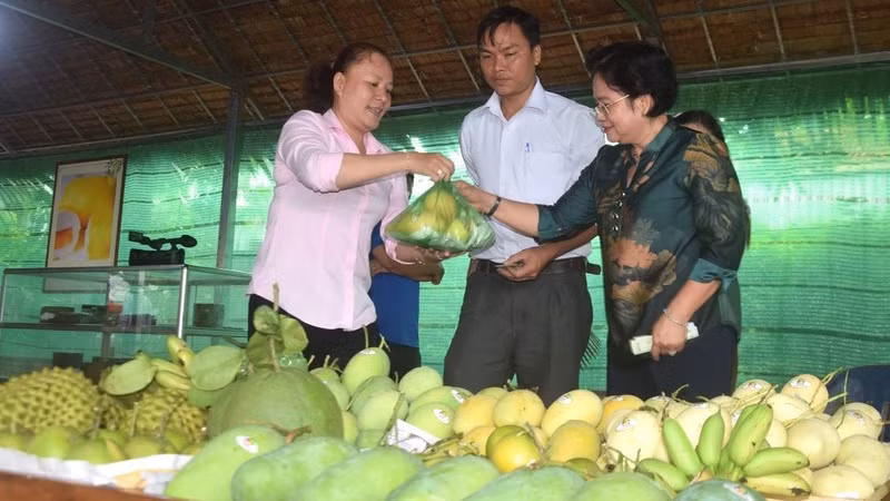 Вьетнам является 12-м по величине поставщиком манго и продуктов из манго в США за первые пять месяцев 2023 г.