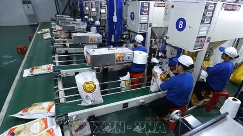 Линия для упаковки риса на экспорт на заводе акционерного общества высокотехнологичных фермерских хозяйств Чунган в Кантхо. 