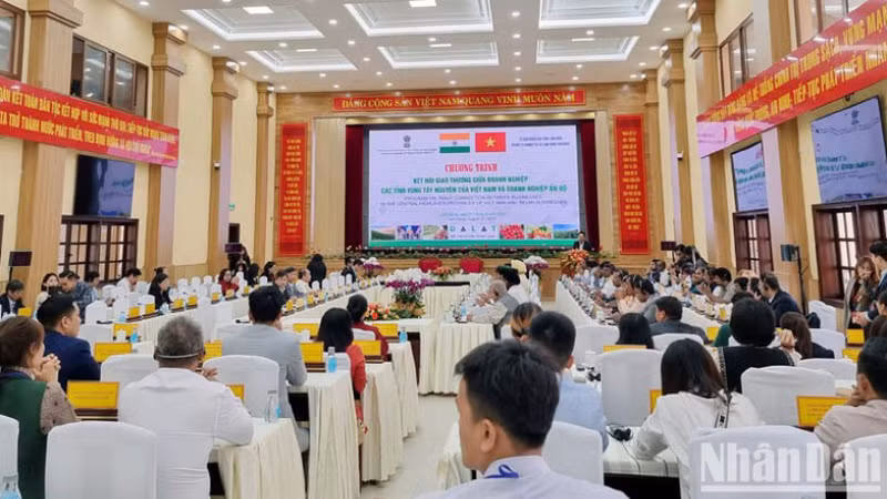 Участники программы. 