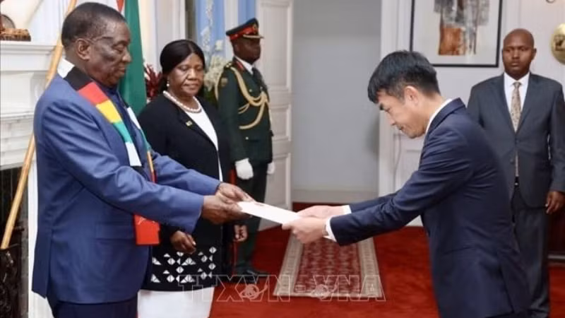 Посол Хоанг Ши Кыонг вручает верительные грамоты Президенту Зимбабве Эммерсону Мнангагве. Фото: ВИА
