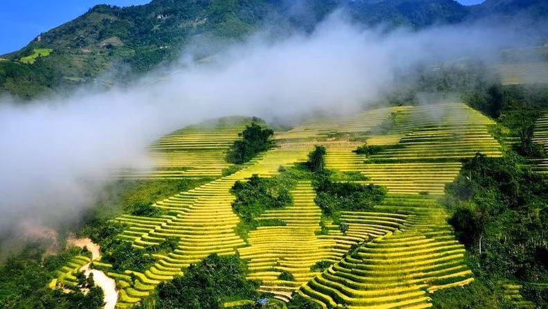 Террасные поля в Шапе. Фото: ВИА