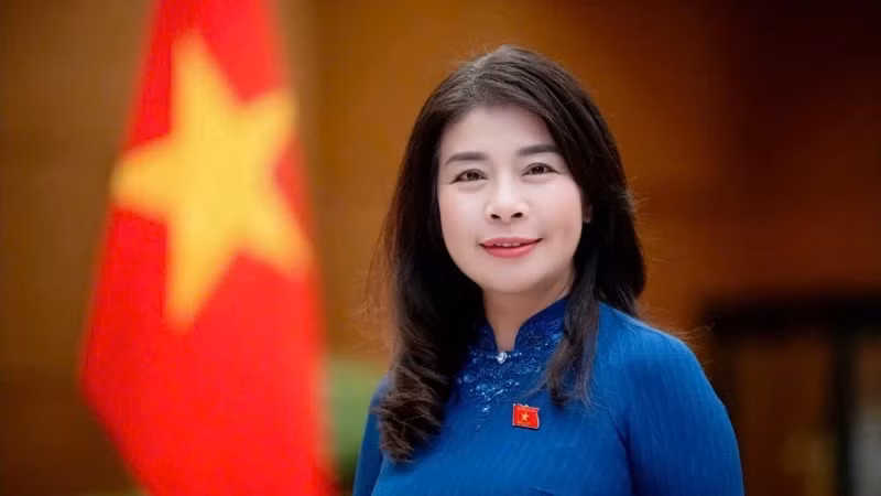 Заместитель председателя Комитета НС по внешним связям Ле Тху Ха