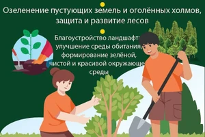 Значение праздника посадки деревьев