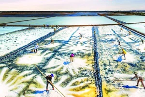 Cолевары общины Лонгдиен занимаются сбором соли. Фото: PTC