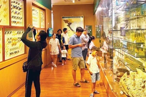 Гости посещают Музей природы в Ханое.