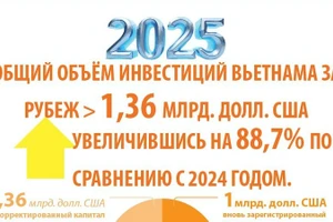 В 2025 году объём инвестиций Вьетнама за рубеж увеличился на 88,7%