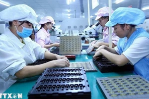 Линия сборки электронных компонентов на заводе компании Баошен в провинции Бакжанг. Фото: ВИА