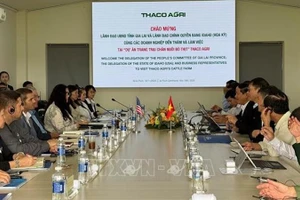 Общий вид рабочей встречи. Фото: ВИА