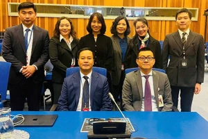 Делегация Вьетнама на сессии.