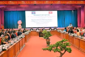 Общий вид конференции.