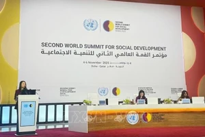 Замминистра иностранных дел Нгуен Минь Ханг выступает на саммите. Фото: ВИА