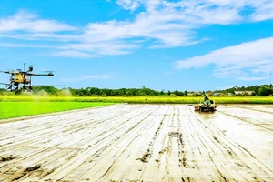 Фермеры города Кантхо применяют высокие технологии в производстве.