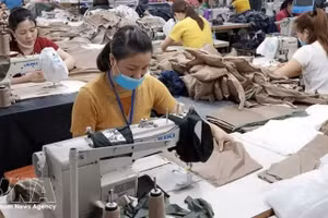 Производство швейной продукции на экспорт. Фото: ВИА