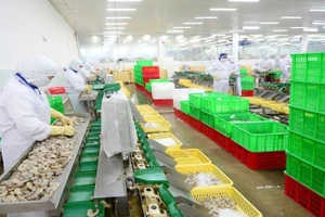 EVFTA открывает большие возможности для увеличения экспорта вьетнамской сельскохозяйственной продукции на рынок ЕС.