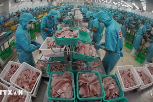 Переработка пангасиуса. Фото: ВИА