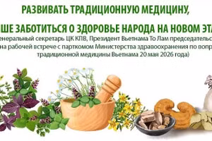 Развивать традиционную медицину, лучше заботиться о здоровье народа на новом этапе