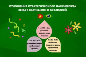 Отношения стратегического партнерства между Вьетнамом и Бразилией 