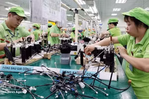 Производственная линия по выпуску жгутов электропроводки на заводе компании Bandai Vietnam в промышленной зоне Бо Чай (район Хоабинь, провинция Футхо). Фото: ВИА