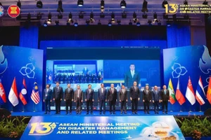 Участники AMMDM.