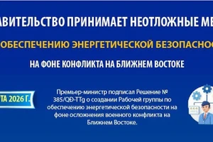 Правительство развертывает срочные меры для обеспечения энергетической безопасности в условиях конфликта на Ближнем Востоке