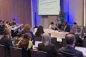 Общий вид конференции. Фото: Постоянная миссии Вьетнама при ООН