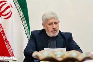 Временный поверенный в делах Ирана во Вьетнаме Мохаммад Мирали Мохаммади выступает на встрече. Фото: ВИА