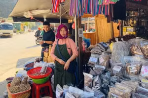 Одной из причин привлекательности Вьетнама для иностранных туристов является местные культурные впечатления.