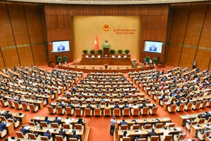 Общий вид церемония открытия сессии.