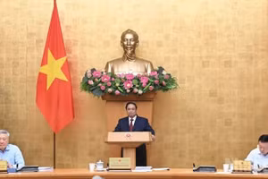 Премьер-министр Фам Минь Тьинь выступает на заседании. Фото: Чан Хай