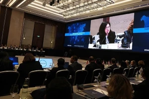 Директор Консульского отдела Министерства иностранных дел Вьетнама Фан Тхи Минь Зянг выступает на диалоге. Фото: baoquocte.vn