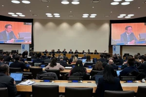 Посол До Хунг Вьет выступает на диалоге. Фото: baoquocte.vn