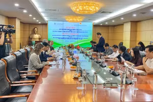 Общий вид встречи.