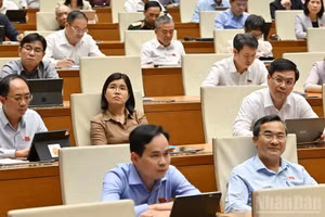 Депутаты НС на заседании 10 апреля. Фото: Зюи Линь 