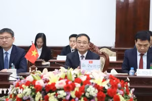 Вьетнамская делегация на конференции. Фото: ВИА