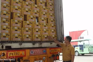 Свежие плоды дуриана упакованы в картонные коробки, соответствующие установленным стандартам. Фото: ВИА