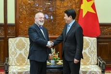 Президент Лыонг Кыонг принимает Посла Чехии Гинека Кмоничека. Фото: Тхюи Нгуен