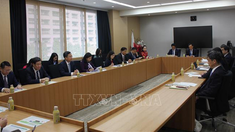 Общий вид рабочей встречи между делегацией города Ханоя и представителем Министерства сельского хозяйства, лесных угодий и рыбного промысла Японии. Фото: ВИА