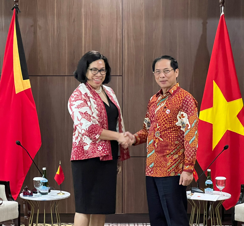 Министр иностранных дел Буй Тхань Шон и Министр иностранных дел и сотрудничества Тимора-Лешти Адализа Альбертина Ксавье Рейс Маньо. Фото: МИД Вьетнама Министр иностранных дел Буй Тхань Шон и Министр иностранных дел и сотрудничества Тимора-Лешти Адализа Альбертина Ксавье Рейс Маньо. Фото: МИД Вьетнама