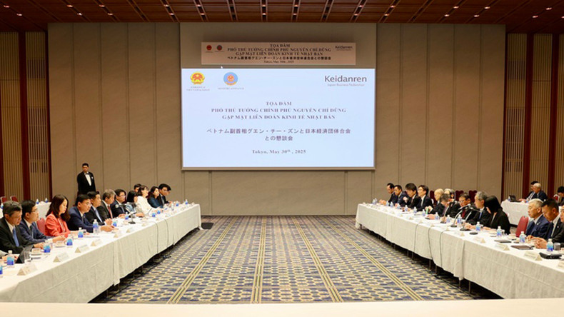 Общий вид беседы с Японской федерацией экономических организаций. Фото: VGP